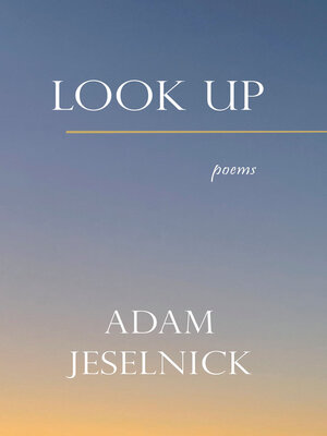 cover image of Look Up